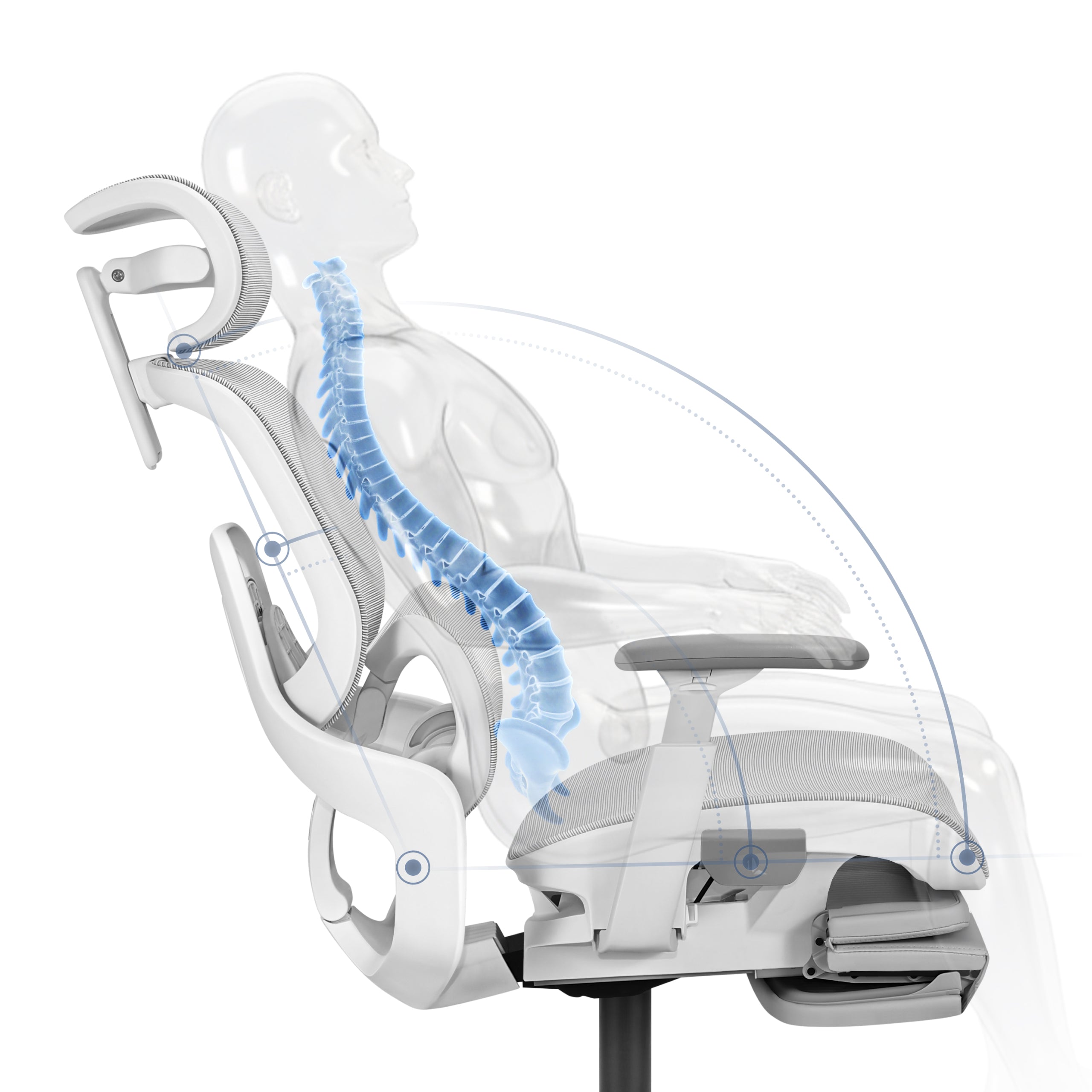 Einstellbare lumbosakrale Stütze
